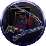 Skin Vault